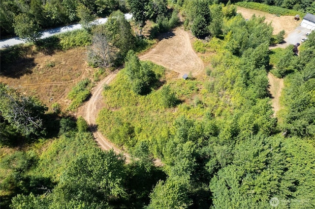 31410 Orville Rd E, Graham, WA 98338 - photo 39