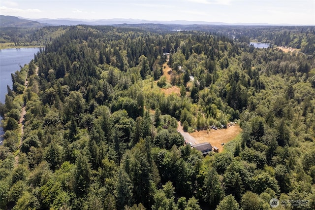 31410 Orville Rd E, Graham, WA 98338 - photo 40