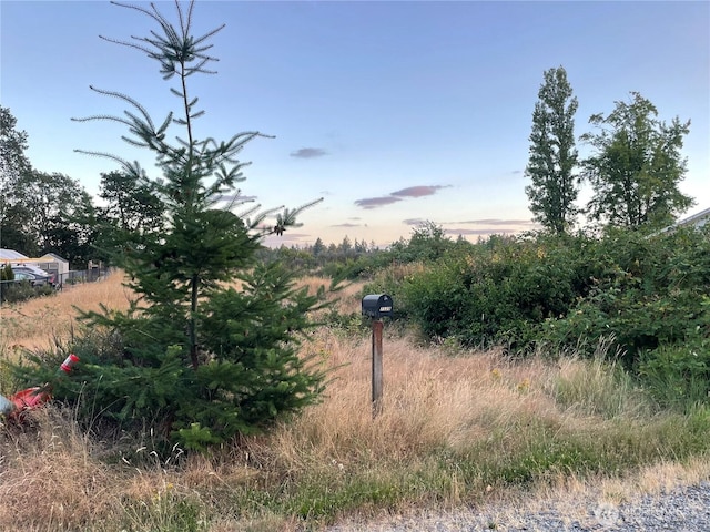 7329 Phillips Rd SW, Lakewood, WA 98498 - photo 1