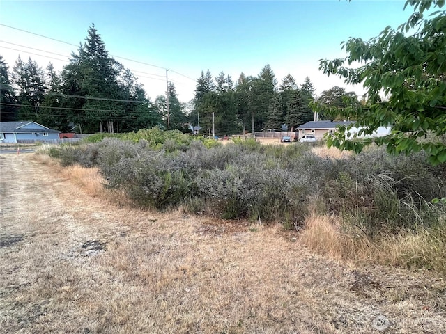 7329 Phillips Rd SW, Lakewood, WA 98498 - photo 3