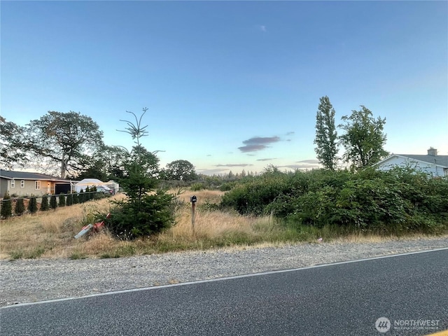 7329 Phillips Rd SW, Lakewood, WA 98498 - photo 5