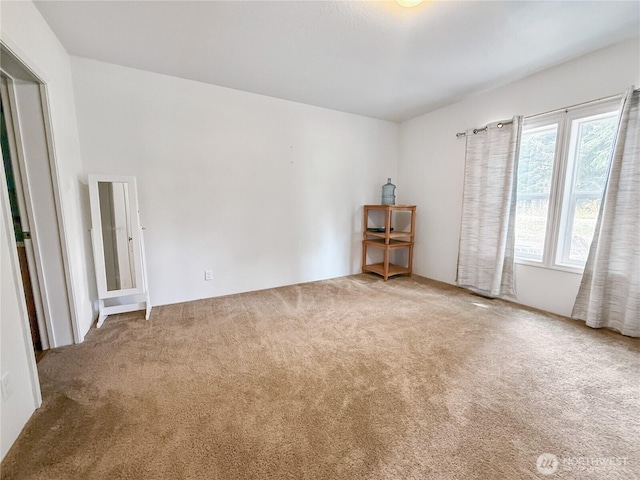 220 Tara Ln, Vader, WA 98593 - photo 17