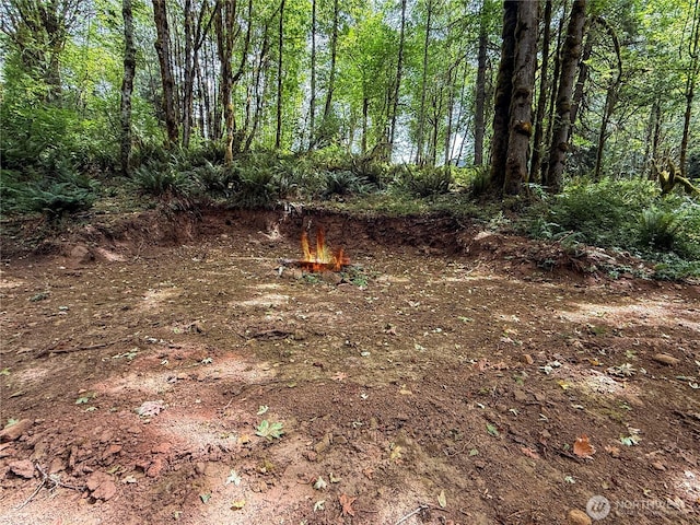 220 Tara Ln, Vader, WA 98593 - photo 27