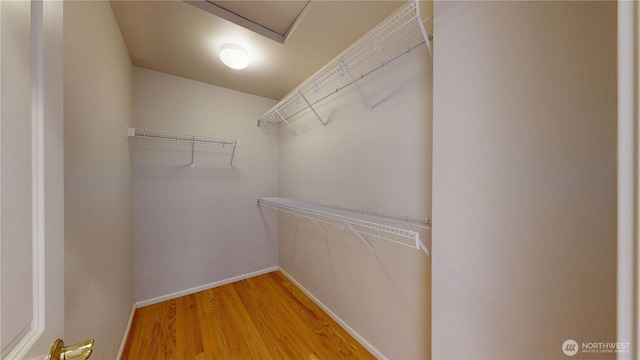 6502 61st St W, University Place, WA 98467 - photo 10