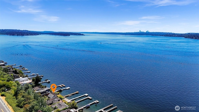 409 5th Ave W, Kirkland, WA 98033 - photo 3