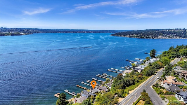 409 5th Ave W, Kirkland, WA 98033 - photo 4