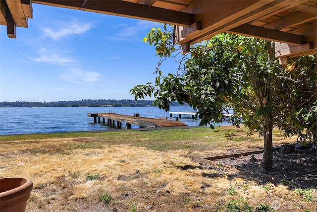 409 5th Ave W, Kirkland, WA 98033 - photo 22