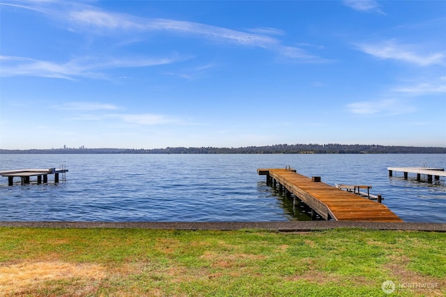 409 5th Ave W, Kirkland, WA 98033 - photo 30
