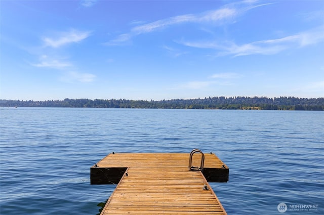 409 5th Ave W, Kirkland, WA 98033 - photo 31
