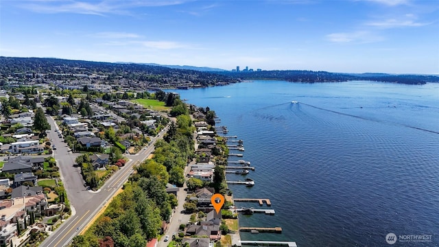 409 5th Ave W, Kirkland, WA 98033 - photo 38