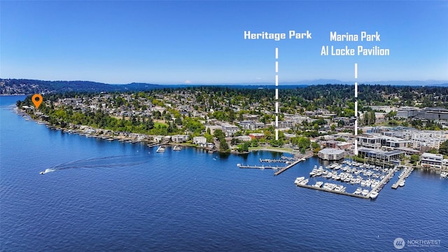 409 5th Ave W, Kirkland, WA 98033 - photo 39