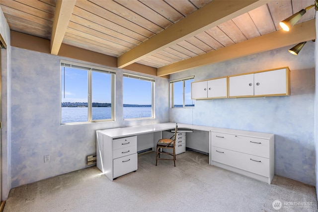 409 5th Ave W, Kirkland, WA 98033 - photo 19