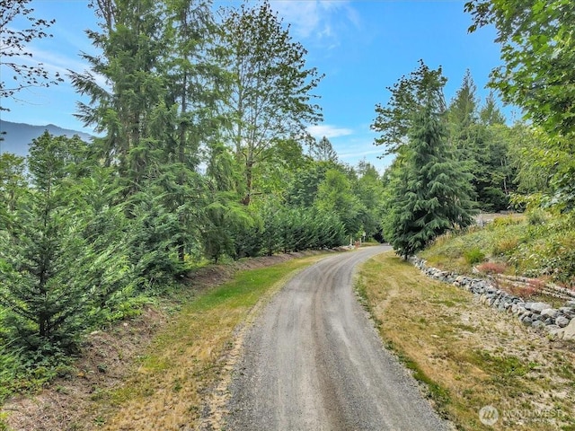 41315 318th St NE, Arlington, WA 98223 - photo 3