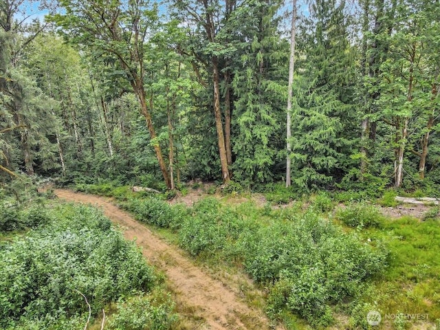 41315 318th St NE, Arlington, WA 98223 - photo 15
