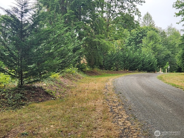 41315 318th St NE, Arlington, WA 98223 - photo 37