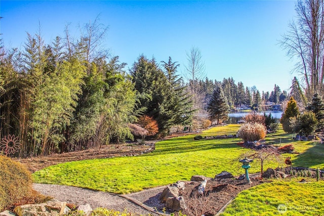 4419 S 372nd St, Auburn, WA 98001 - photo 29