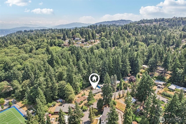 4364 151st Ave SE, Bellevue, WA 98006 - photo 37