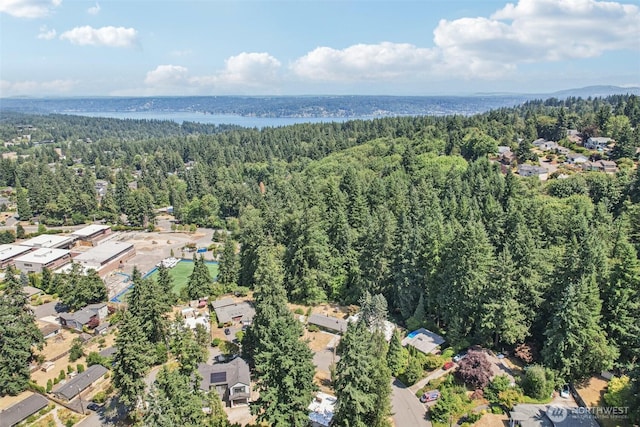 4364 151st Ave SE, Bellevue, WA 98006 - photo 38