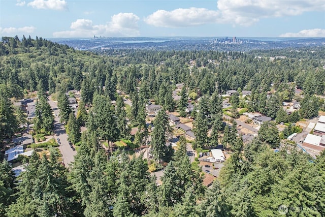 4364 151st Ave SE, Bellevue, WA 98006 - photo 39
