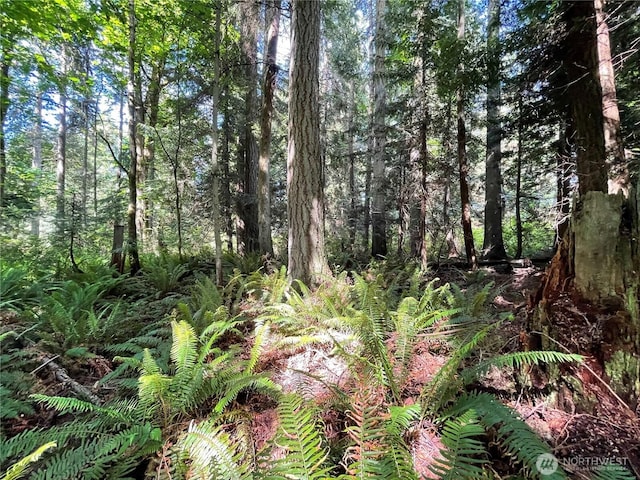 0 State Highway 3, Poulsbo, WA 98370 - photo 12