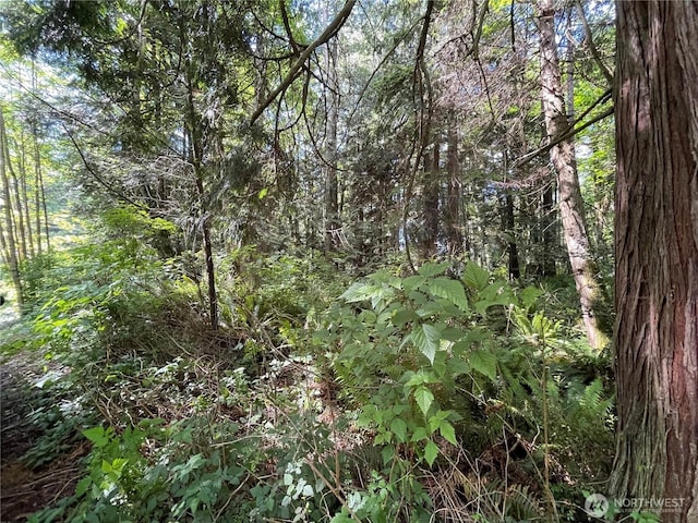 0 State Highway 3, Poulsbo, WA 98370 - photo 16