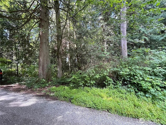 0 State Highway 3, Poulsbo, WA 98370 - photo 18