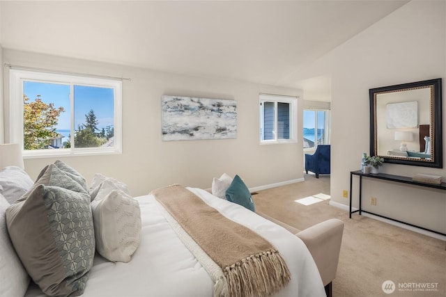 11027 60th Ave W, Mukilteo, WA 98275 - photo 22