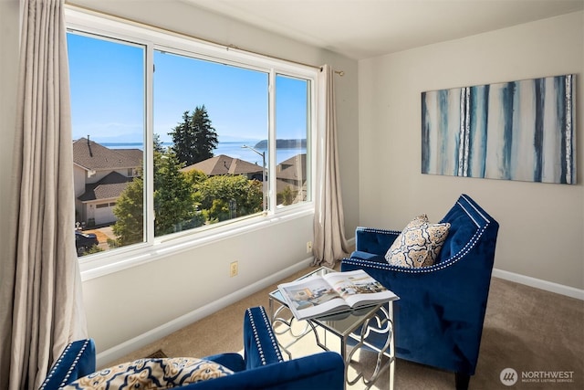 11027 60th Ave W, Mukilteo, WA 98275 - photo 23