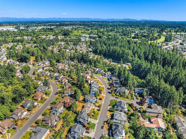 11027 60th Ave W, Mukilteo, WA 98275 - photo 38