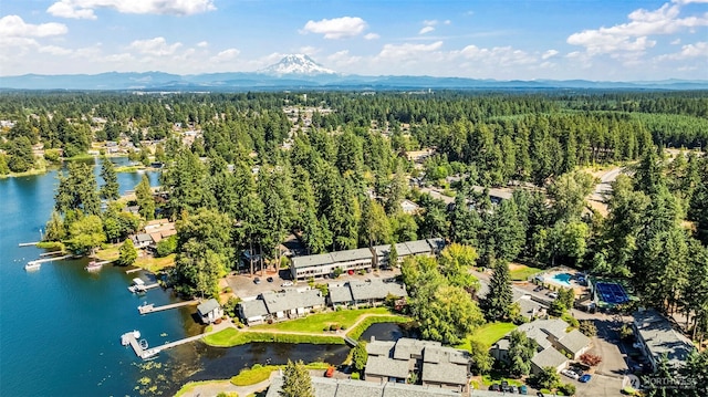 17303 Spanaway Loop Rd S Unit 38, Spanaway, WA 98387 - photo 26