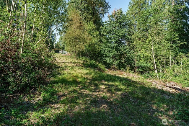 0 NE Johnson Rd, Parcel La Center, WA 98629 - photo 2