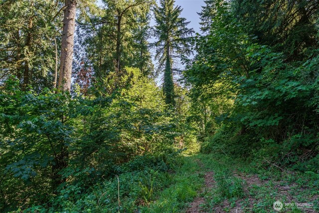 0 NE Johnson Rd, Parcel La Center, WA 98629 - photo 3