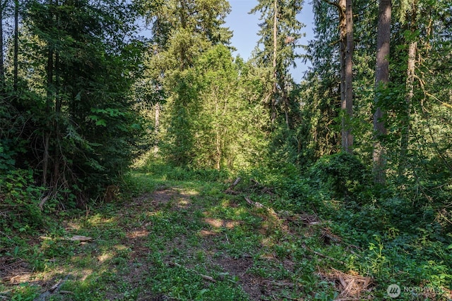 0 NE Johnson Rd, Parcel La Center, WA 98629 - photo 4