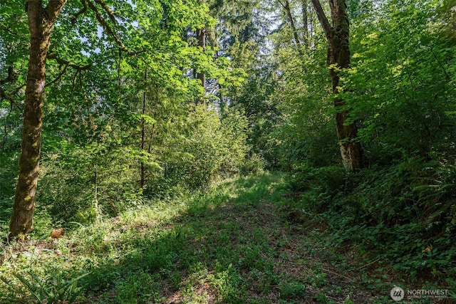 0 NE Johnson Rd, Parcel La Center, WA 98629 - photo 5