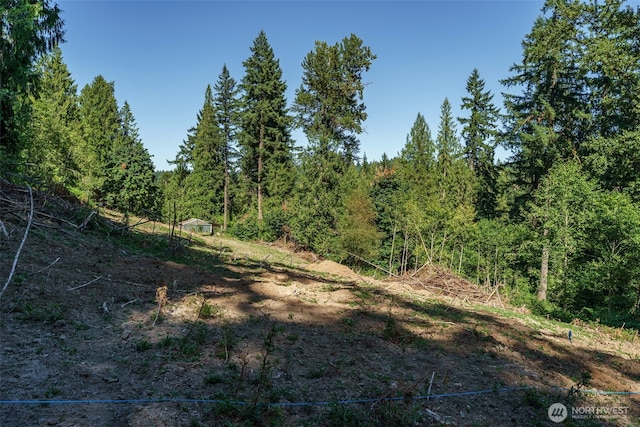 0 NE Johnson Rd, Parcel La Center, WA 98629 - photo 7