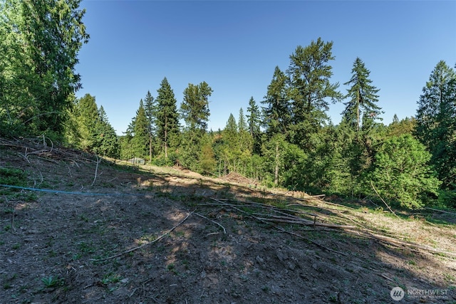 0 NE Johnson Rd, Parcel La Center, WA 98629 - photo 8