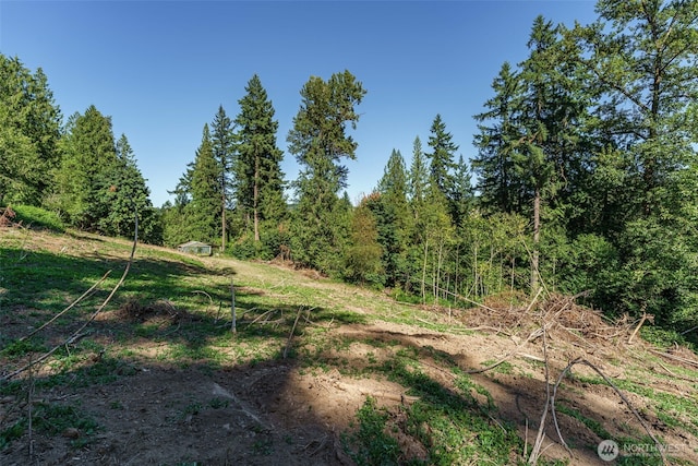 0 NE Johnson Rd, Parcel La Center, WA 98629 - photo 6