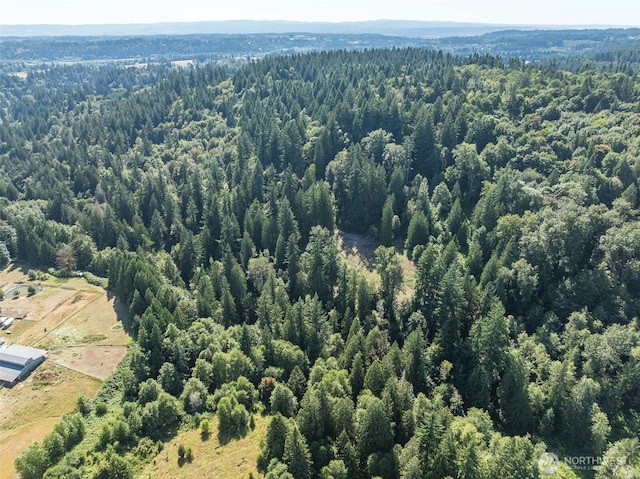 0 NE Johnson Rd, Parcel La Center, WA 98629 - photo 17