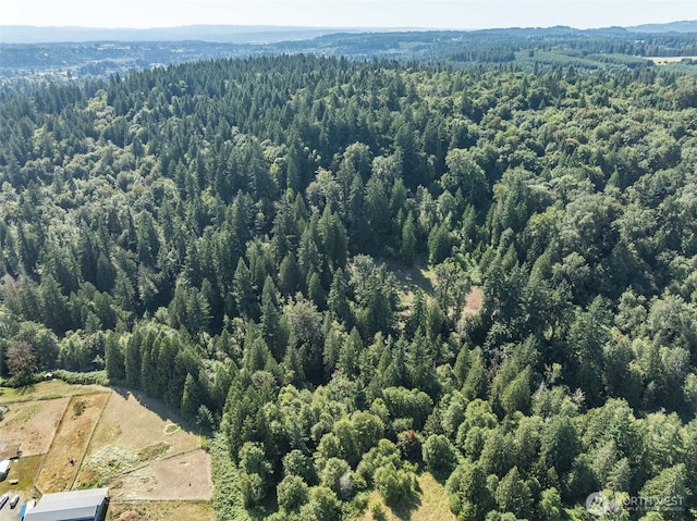 0 NE Johnson Rd, Parcel La Center, WA 98629 - photo 21
