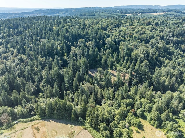 0 NE Johnson Rd, Parcel La Center, WA 98629 - photo 22