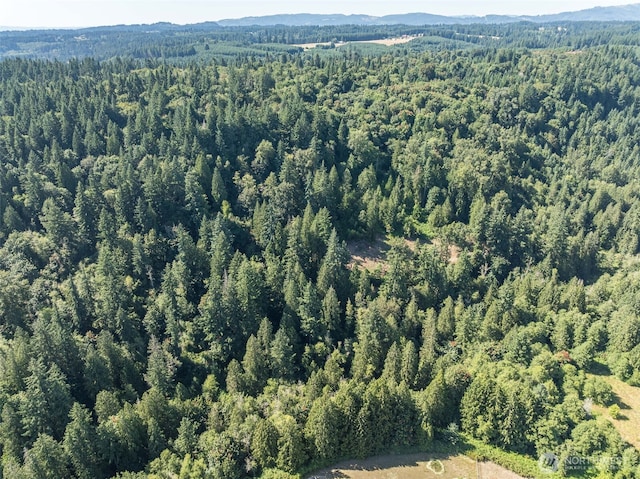 0 NE Johnson Rd, Parcel La Center, WA 98629 - photo 23