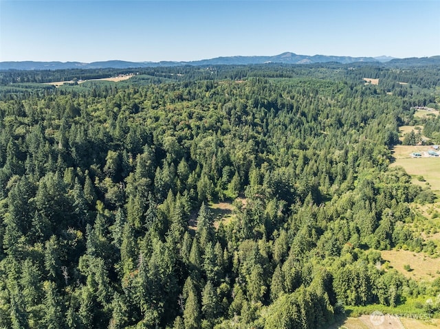 0 NE Johnson Rd, Parcel La Center, WA 98629 - photo 24