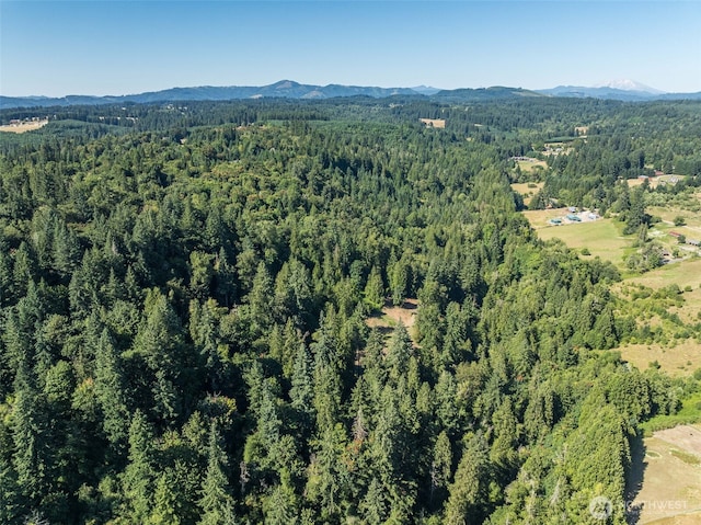 0 NE Johnson Rd, Parcel La Center, WA 98629 - photo 25