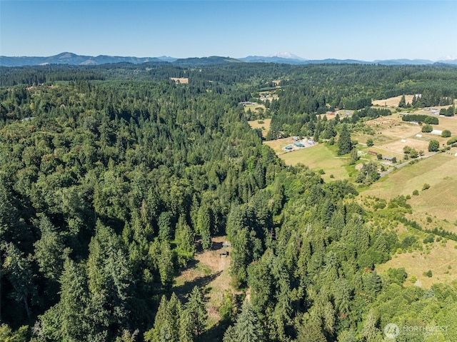 0 NE Johnson Rd, Parcel La Center, WA 98629 - photo 26