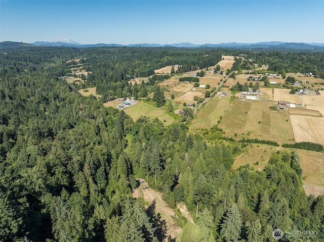 0 NE Johnson Rd, Parcel La Center, WA 98629 - photo 27
