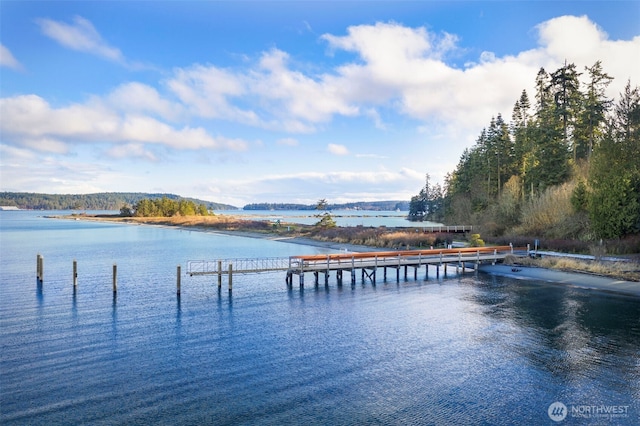 63 Bluffs Ln Unit 1, Port Townsend, WA 98368 - photo 39