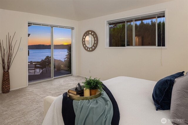 9305 62nd Pl W, Mukilteo, WA 98275 - photo 21