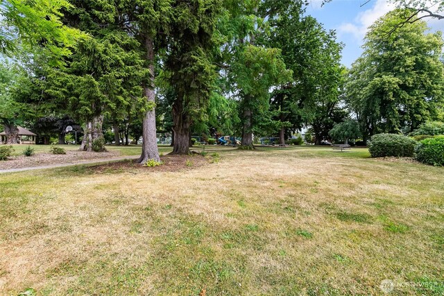 2400 Williams St, Bellingham, WA 98225 - photo 28