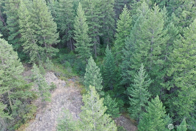 111 Eaglebluff, Oroville, WA 98844 - photo 4