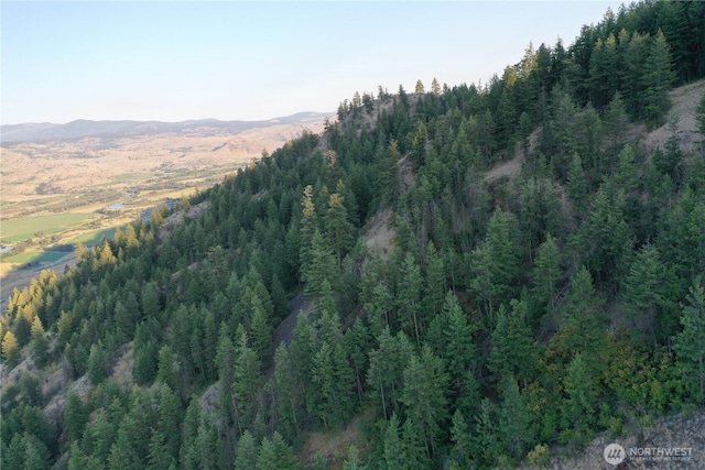 111 Eaglebluff, Oroville, WA 98844 - photo 6